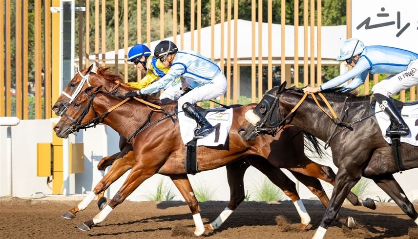 مشاركة 971 خيلاً في 26 سباقاً تجريبياً بمضامير الإمارات