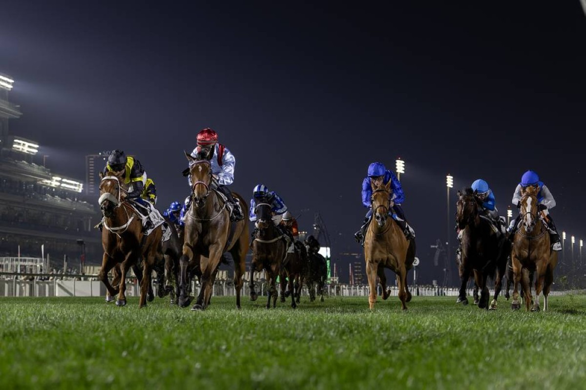 صراع المهرات يتصدر الأمسية 13 لكرنفال سباقات دبي