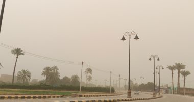 روشتة كاملة لمرضى الحساسية فى الطقس المتقلب والمحمل بالأتربة