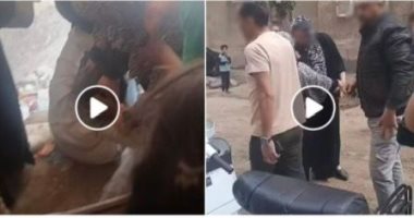 خناقة السناتر.. سيدات يتشابكن بالأيدي بسبب الدروس الخصوصية