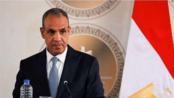 عاجل| وزير الخارجية يكشف حقيقة طلب المساعدة العسكرية من مصر