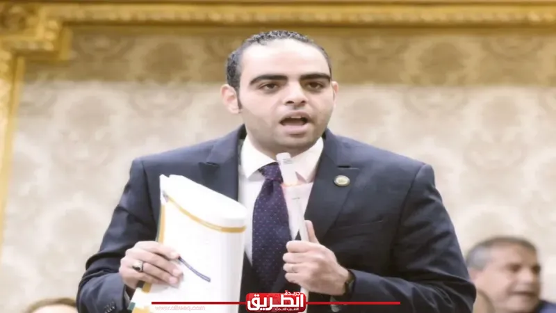 برلماني: تحركات الرئيس السيسي تؤكد ثبات الدور المصري في دعم الأمن والاستقرار