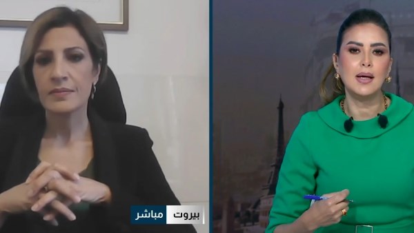 تمارا الزين: 5000 هكتار من الغابات المتضررة تحتاج إلى إعادة تشجير مدروسة
