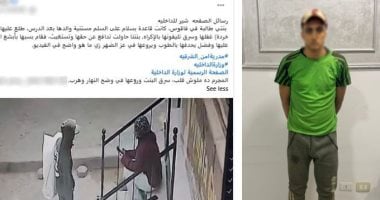 بسبب موبايل.. مسجل خطر يسب فتاة ويقذفها بالحجارة