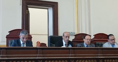 إحالة أوراق تاجر خضار للمفتى قتل سائقا لسرقة تروسيكل بالإسكندرية