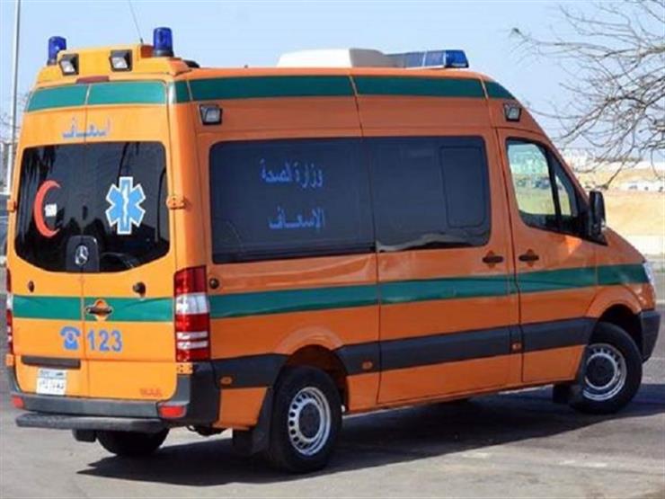 مصرع 6 أشخاص وإصابة 9 آخرين فى تصادم سيارتين بطريق توشكى بالأسماء
