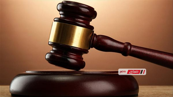 تأجيل محاكمة 7 متهمين بالتنقيب عن الآثار أسفل مدرسة في الإسكندرية لدور الانعقاد المقبل