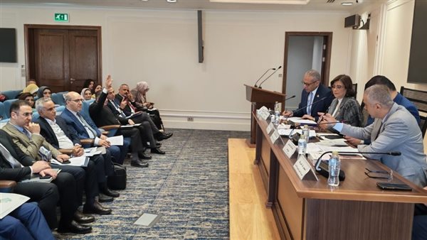 لضبط السيارات المعفاة، تضامن النواب توافق مبدئيًا على تعديل قانون ذوي الإعاقة