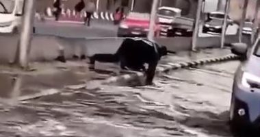 شرطى يفتح بلاعة بيده على دائرى المعادى لتصفية مياه الأمطار