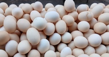 سعر طبق البيض بالقليوبية اليوم الأربعاء 29