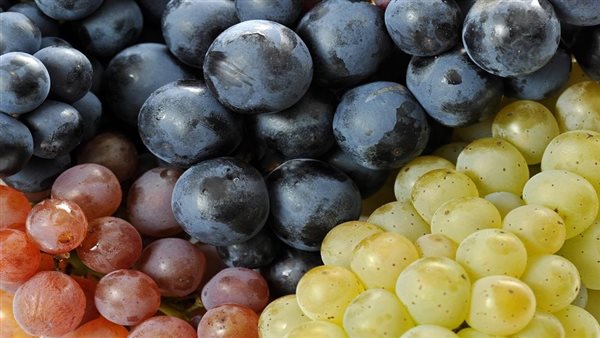 استشاري: العنب مهم للأطفال بعد إتمامهم 6 أشهر