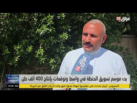 بدء موسم تسويق الحنطة في واسط وتوقعات بإنتاج 400 الف طن