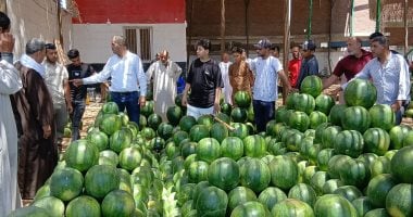 أكبر مزاد بيع بطيخ بالإسكندرية.. مرمل وأحمر والبطيخة وزنها يصل 15 كيلو