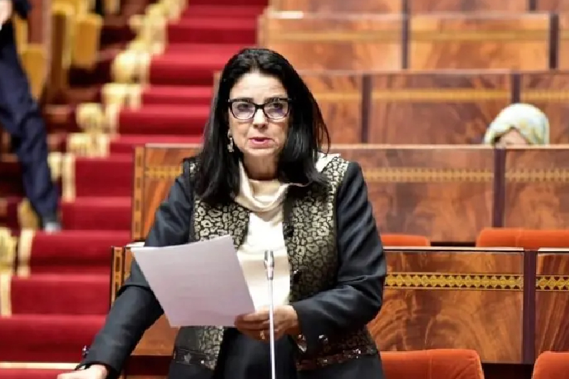 انتشار ألعاب الكترونية خطيرة على مستقبل الناشئة تجر السغروشني للمساءلة