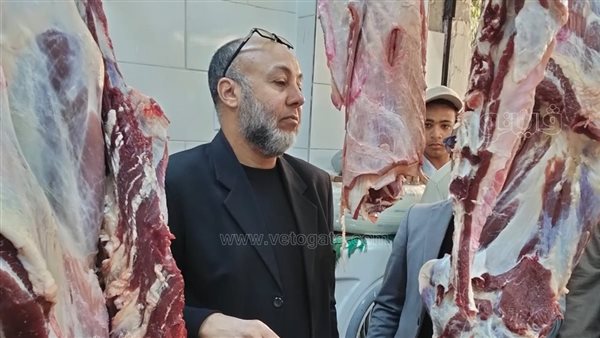 ضبط 100 كيلو لحوم ودواجن غير صالحة للاستهلاك في أسوان (صور)