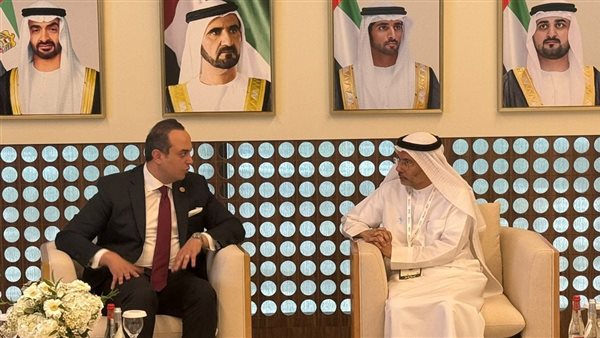 مصر والإمارات تبحثان فرص التعاون في مجالات التحول الرقمي الصحي