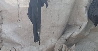 صراع الحياة فى غزة.. حكمت أبو غنيم تحارب الجوع والمرض وتتمسك بخيط أمل لا ينقطع