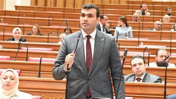 حسين هريدي: غياب الحكومة عن اجتماع “اقتصادية النواب” يُفرغ الدور الرقابي من مضمونه