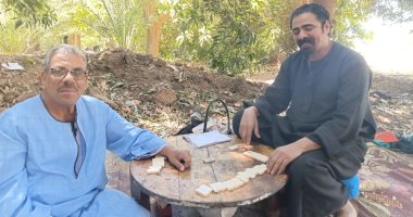 أجواء الربيع وسط الزراعات بجزيرة سلوا فى أسوان