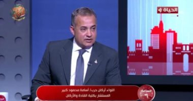 خبير عسكري لـ الساعة 6: الدور المصري محورى في التهدئة بقطاع غزة