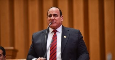 برلمانى: مصر تحمى حقوق الفلسطينيين وتتصدى لمحاولات التهجير القسرى