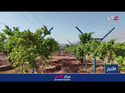 بث مباشر | نشرة أخبار الثانية ظهرا