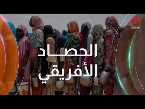 مشاورات القاهرة لحل الأزمة السودانية.. وجدل بعد افتتاح أرض الصومال سفارتها بالقدس| الحصاد الأفريقي