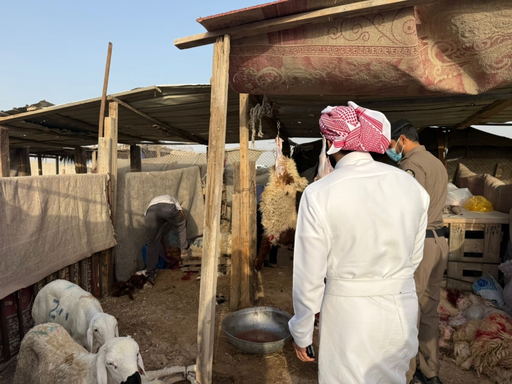 الأحساء.. ضبط 4 أحواش عشوائية لذبح الأضاحي