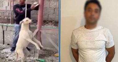 الداخلية تكشف حقيقة توثيق شخص كلب بعمود وضربه حتى الموت