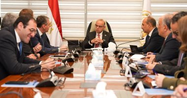 وزير الاستثمار يبحث مع دراسكيم العالمية تطورات أول منطقة لإنتاج سيانيد الصوديوم