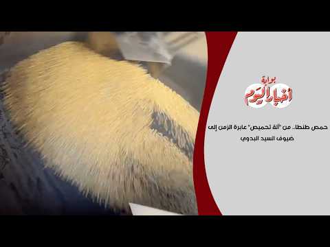حمص طنطا.. من "آلة تحميص" عابرة الزمن إلى ضيوف السيد البدوي