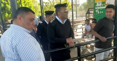 قيادات مدينة أرمنت يتابعون انتظام عمل عبارة الأهالى بجزيرة أرمنت الحيط
