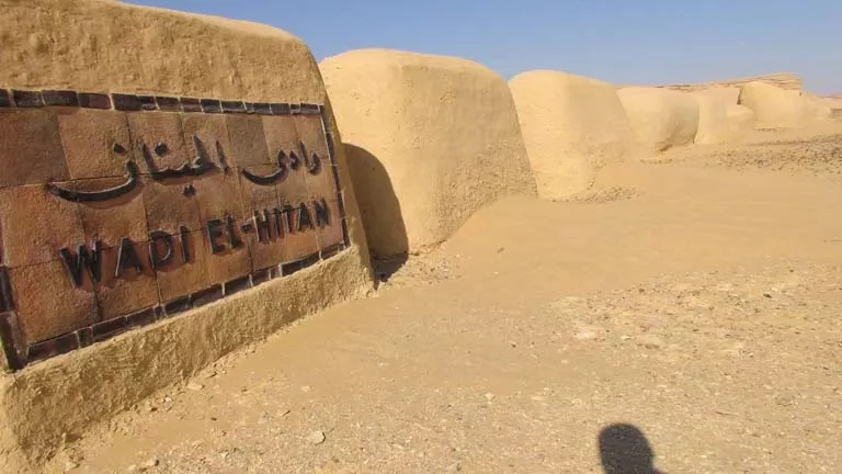 "اليونسكو": وادي الحيتان أحد أهم مواقع التراث الطبيعي