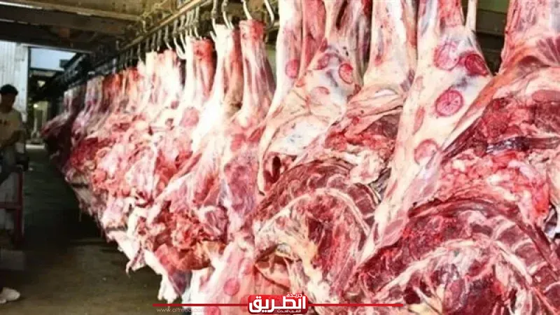 طرح اللحوم الطازجة والمجمدة والدواجن بأسعار تنافسية و20 شادرًا لبيع الخراف