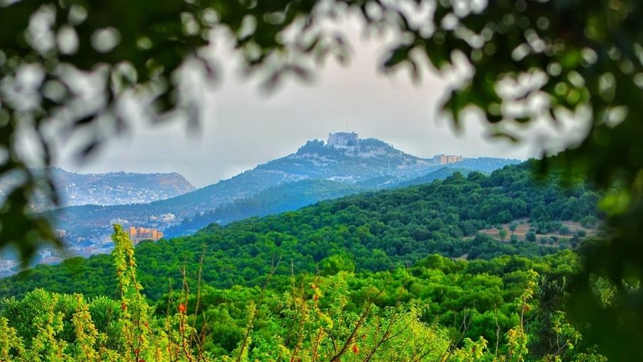 أجواء صيفية معتدلة اليوم وحارة نسبيا غدا
