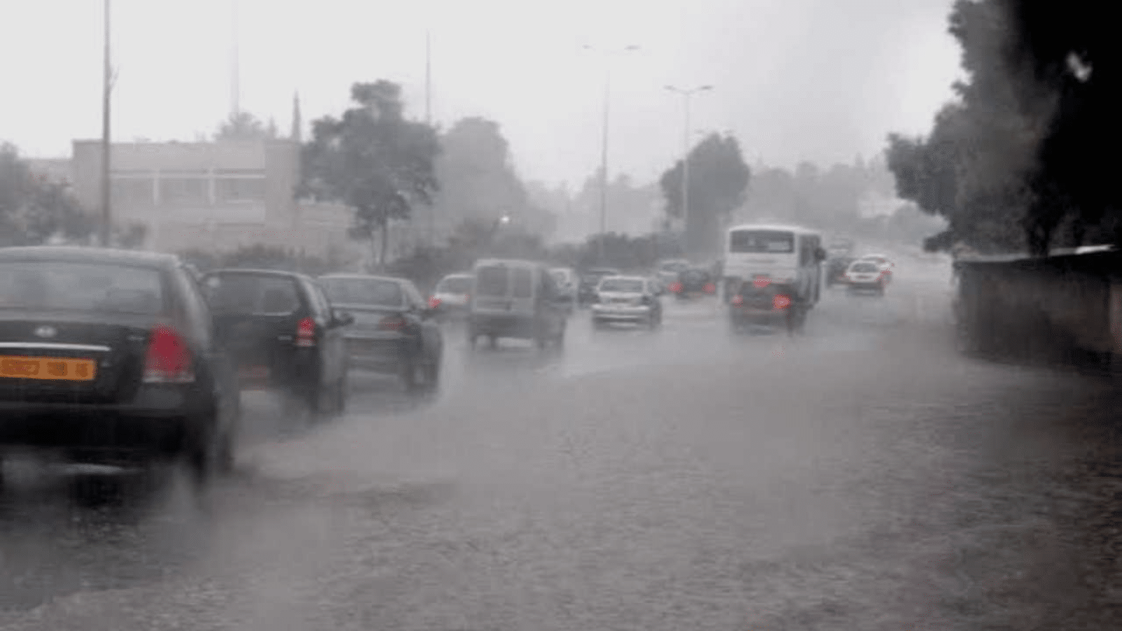 نشرية خاصة: أمطار تصل إلى 50 ملم بهذه الولايات
