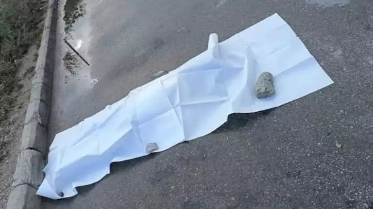 مصرع مزارع ونجله في حادث تصادم على صحراوي البحيرة