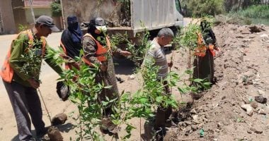 محافظة الجيزة تطلق مبادرة ازرع شجرة بأبو النمرس لتحسين المظهر الحضارى