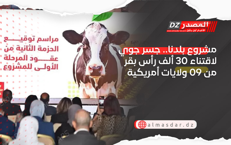 مشروع بلدنا.. جسر جوي لاقتناء 30 ألف رأس بقر من 09 ولايات أمريكية