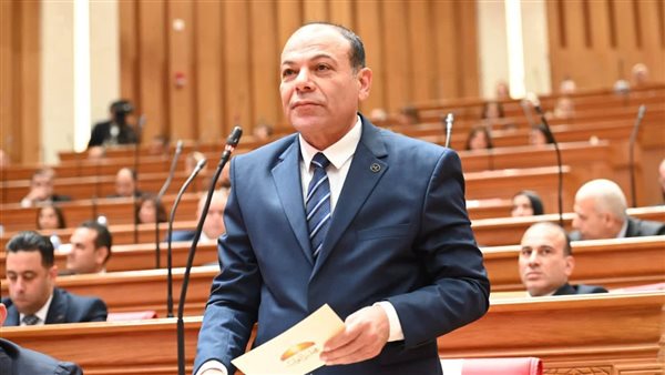 بيان عاجل بشأن الحسابات الوهمية.. النائب عبدالله لاشين يطالب بالتصدي لجرائم التشهير والابتزاز الإلكتروني