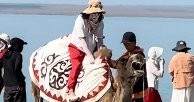 غضب واسع بعد إجبار جمل مُنهك على حمل سائحة فى الصين