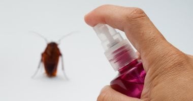 3 طرق طبيعية لطرد الصراصير من المنزل