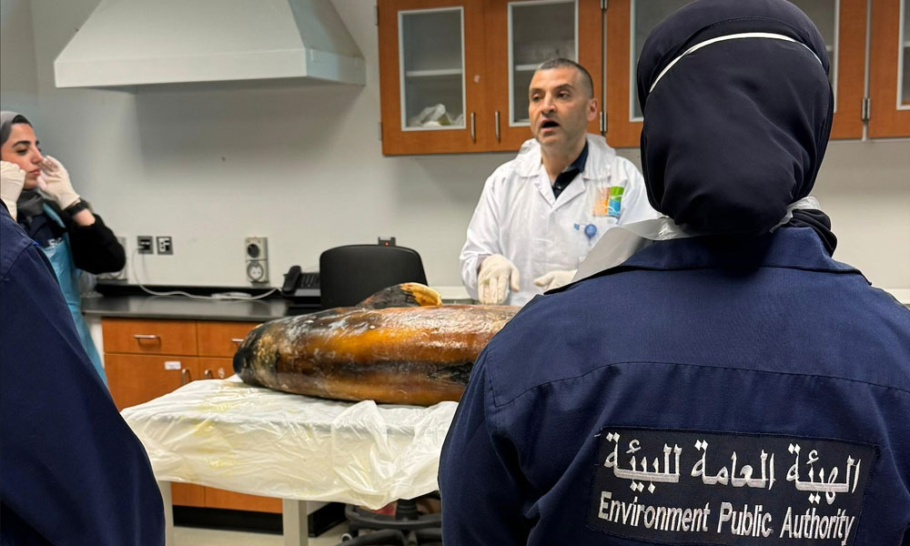 هيئة البيئة: نتعاون مع المركز العلمي لتحديد أسباب نفوق الأسماك والكائنات الحية في البلاد