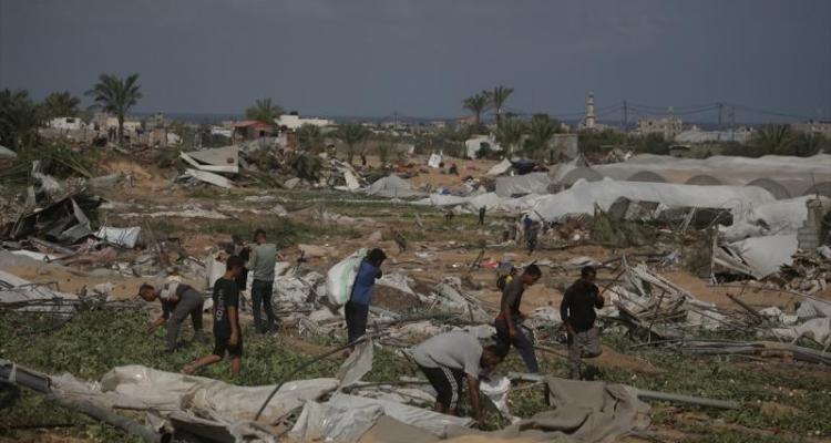 دمار زراعي واسع في غزة يهدد الأمن الغذائي والصحة العامة