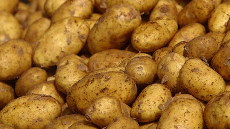 جندوبة: حجز أطنان من الخضر في مخزن عشوائي