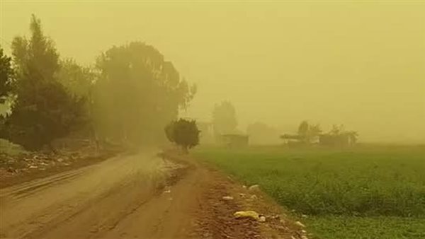 سماء صفراء وانعدام في الرؤية، عاصفة ترابية تضرب الغربية (فيديو)
