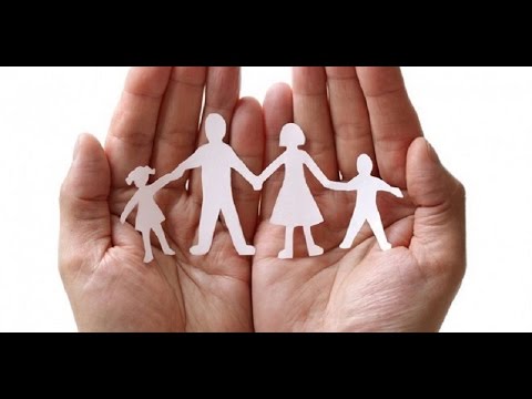 أمين الفتوى: الرضا بقسمة الله سر استقرار الحياة الزوجية والسعادة الحقيقية