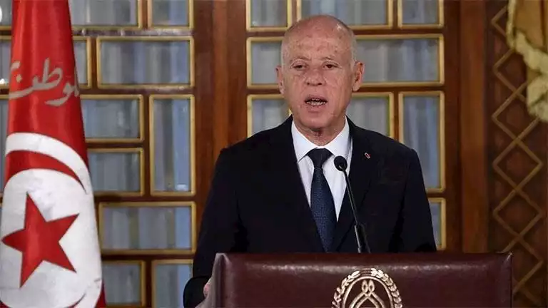 قيس سعيد يطيح بوزيرة الصناعة من منصبها