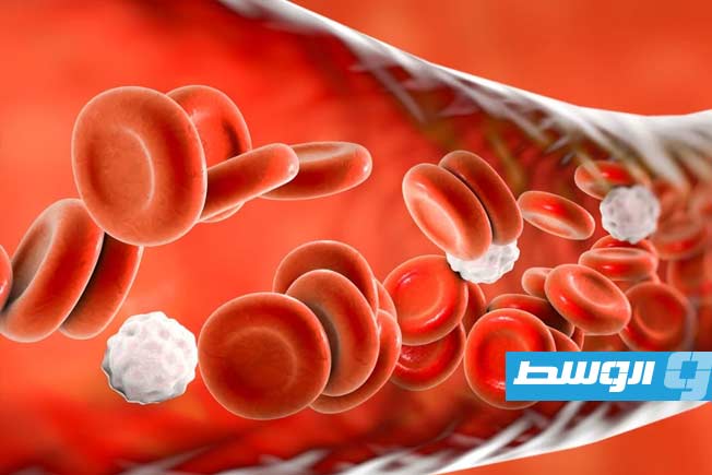 دراسة: اكتشاف منطقة في الدماغ مسؤولة عن ضغط الدم المرتفع غير المستجيب للأدوية