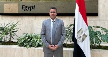 40 مليار شكر لمصريين الخارج